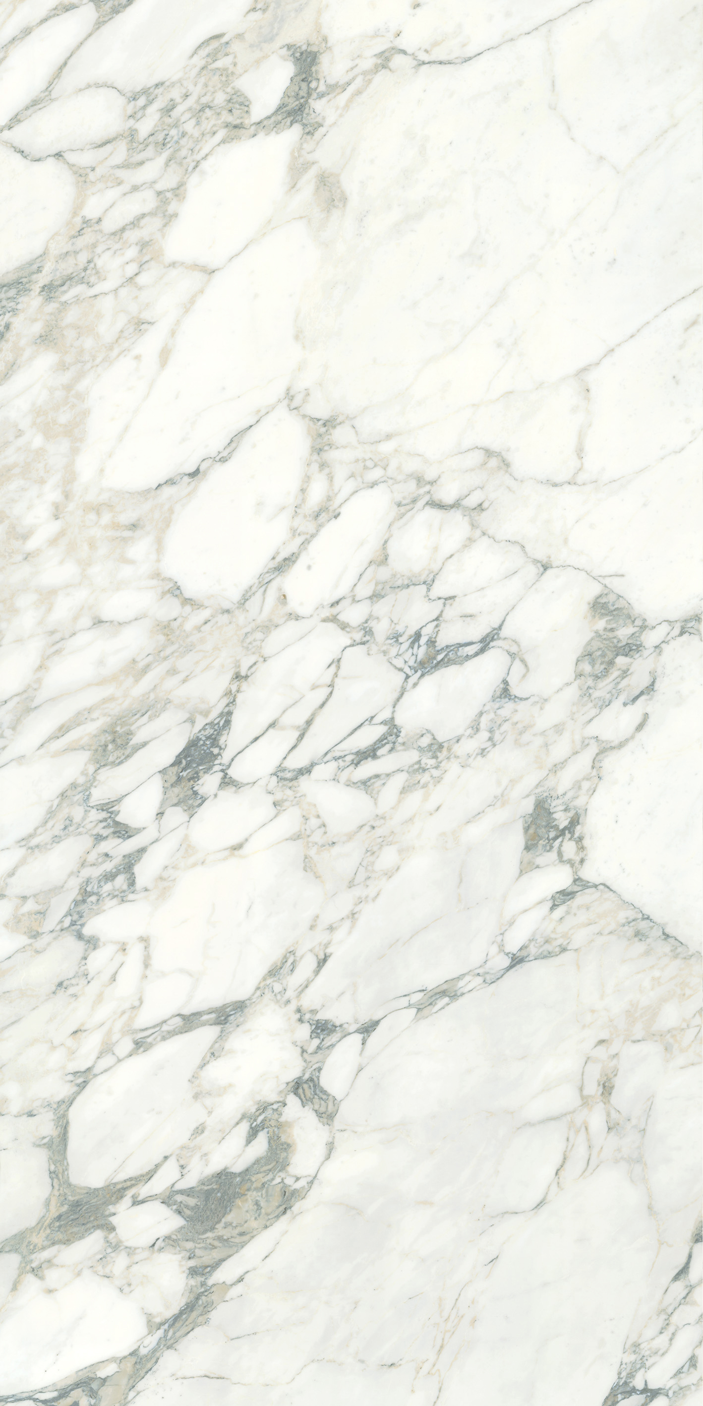 Arabescato Corchia - sintered stone malaysia