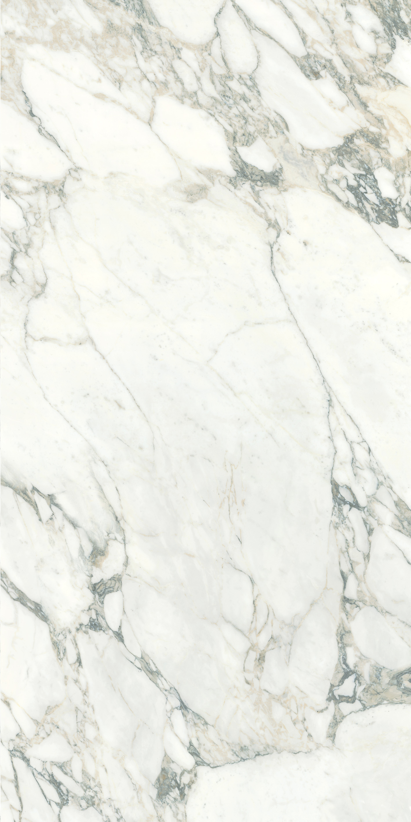 Arabescato Corchia - sintered stone malaysia