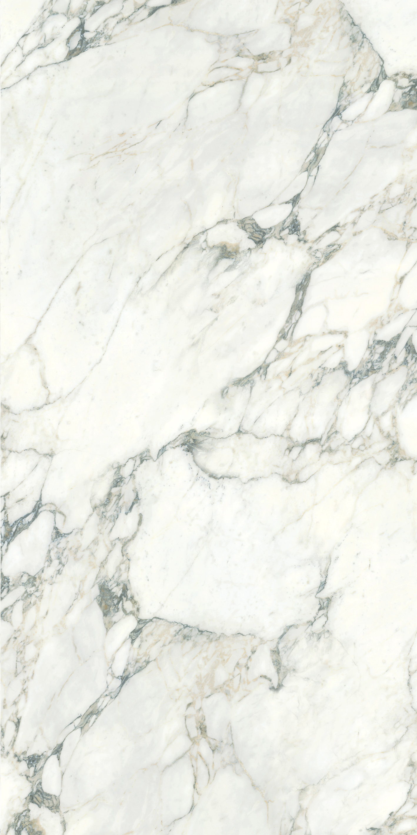 Arabescato Corchia - sintered stone malaysia