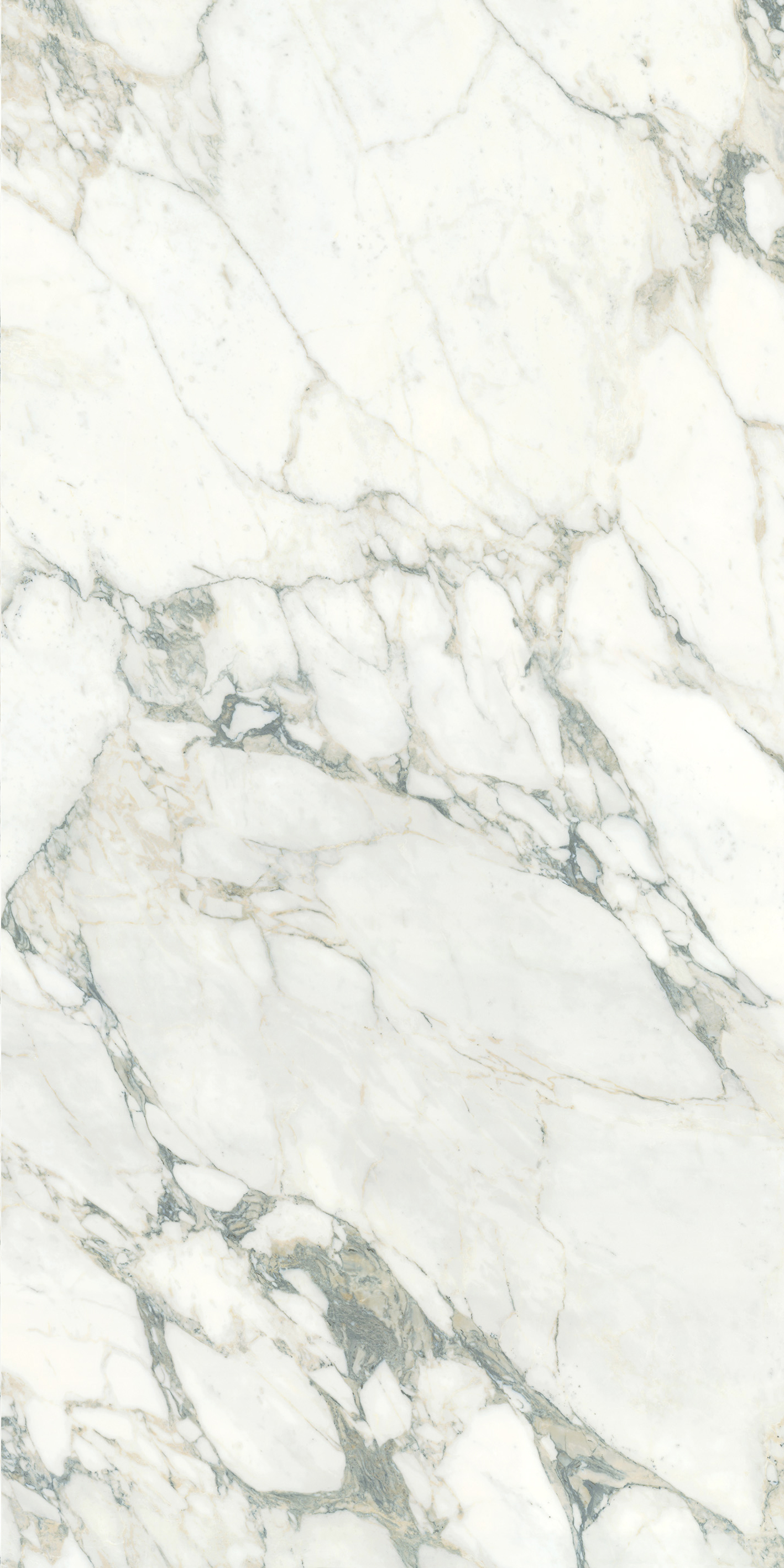 Arabescato Corchia - sintered stone malaysia