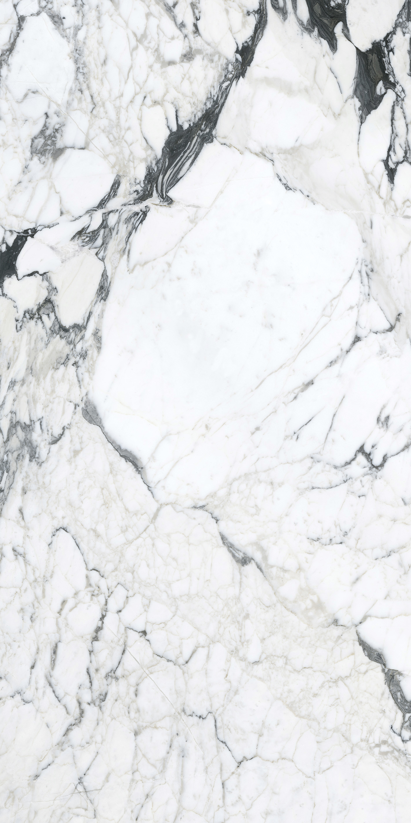 Arabescato White - sintered stone malaysia