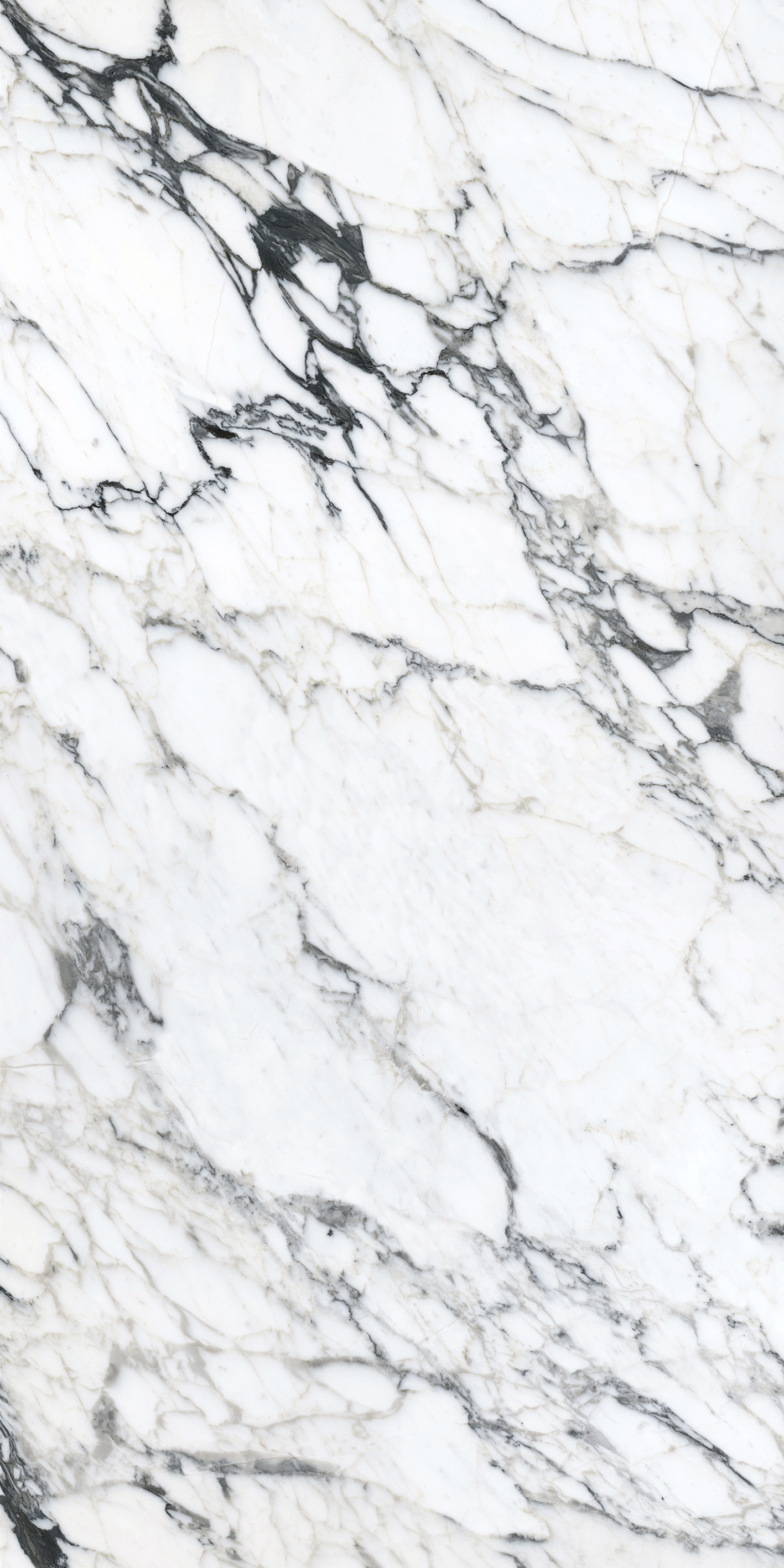 Arabescato White - sintered stone malaysia