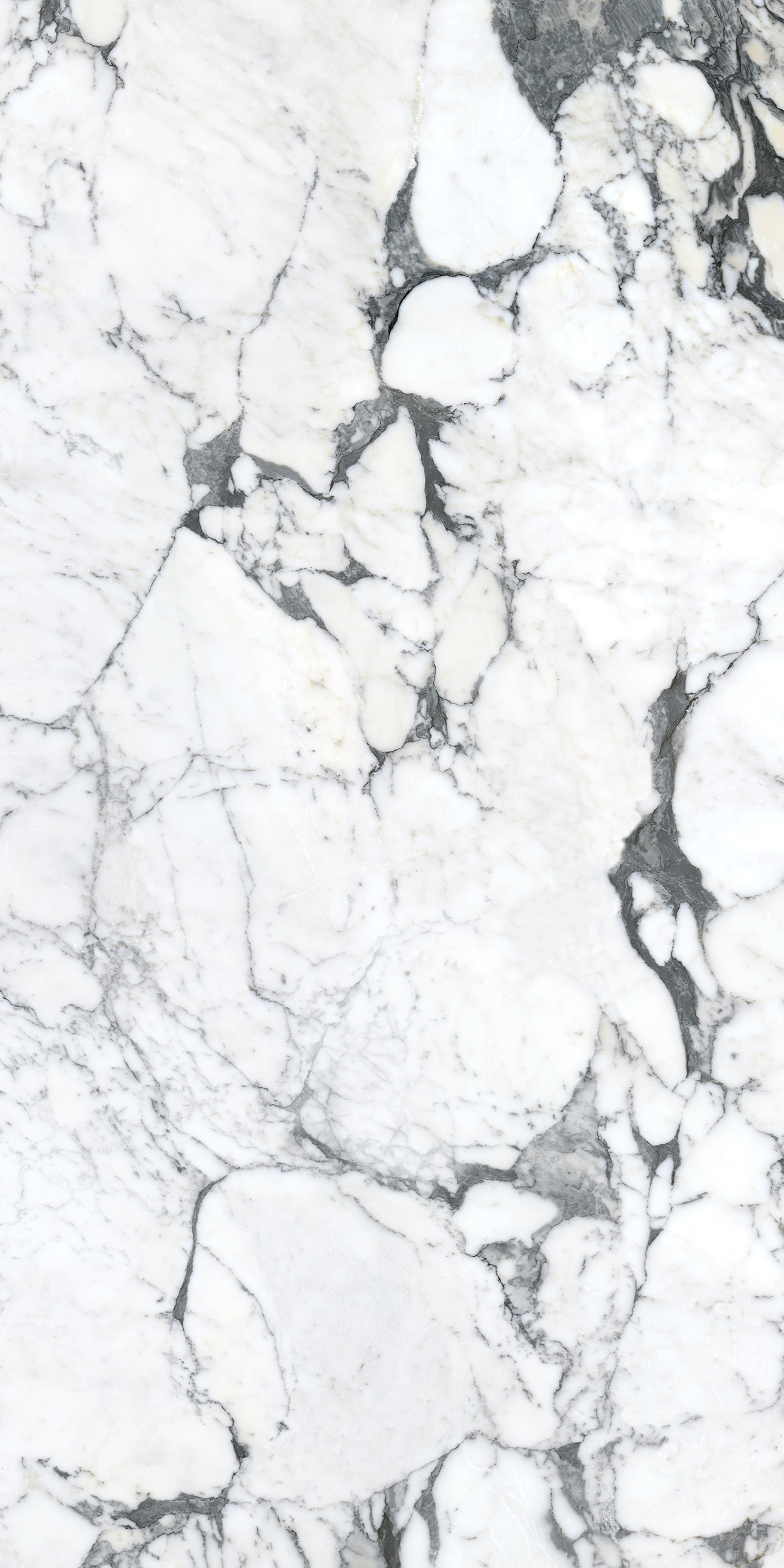 Arabescato White - sintered stone malaysia